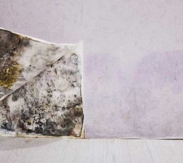 علت سیاه شدن زیر کاغذ دیواری