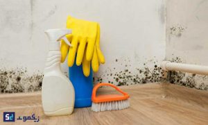 از بین بردن لکه نم روی کاغذ دیواری