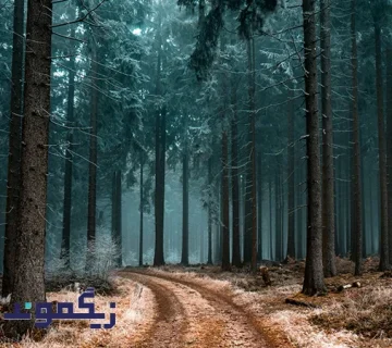 مزایای استفاده از کاغذ دیواری